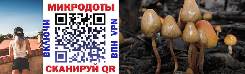 Галлюциногенные грибы мухоморы  Нея 